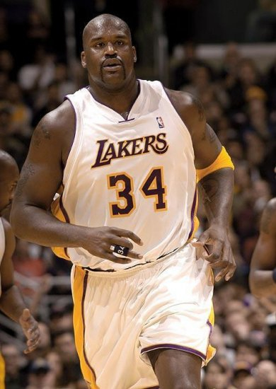 日本火腿的 日本火腿的