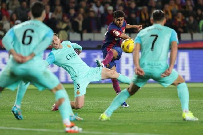 念与临场执 念与临场执